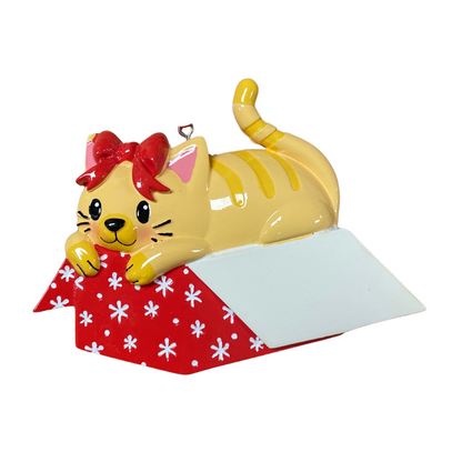 Cat in Giftbox Ornament