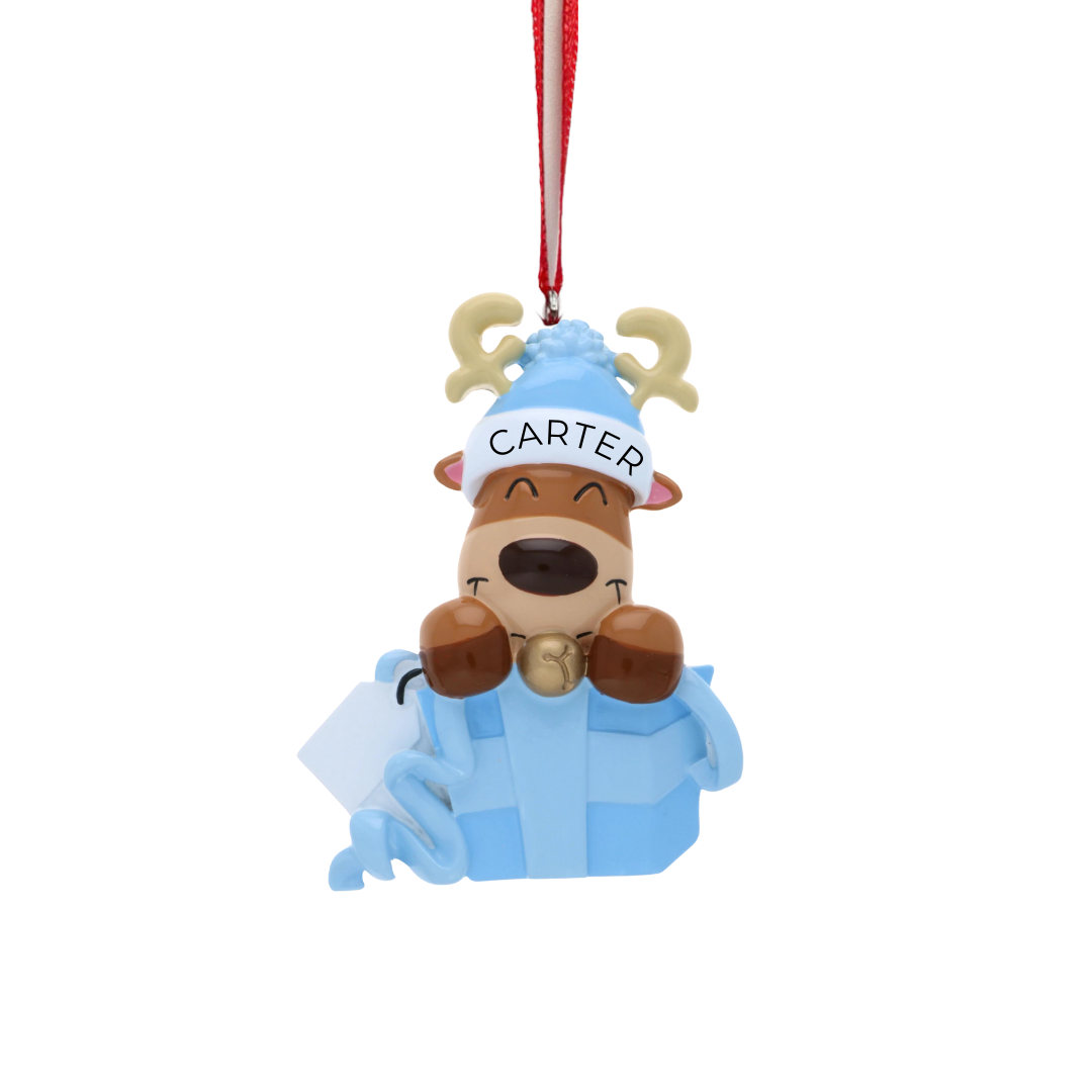 Baby Reindeer in Gift Box (Blue)