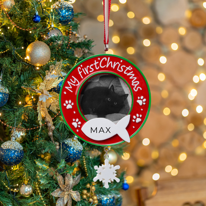 Cat Frame Ornament