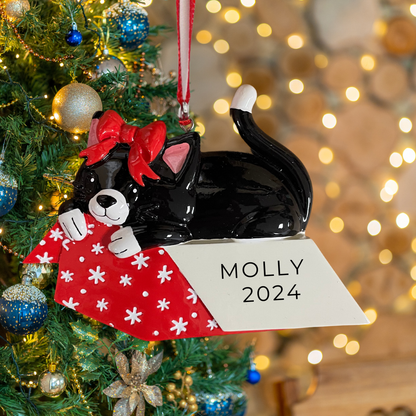 Personalized Cat in Giftbox Ornament - Custom Holiday Gift