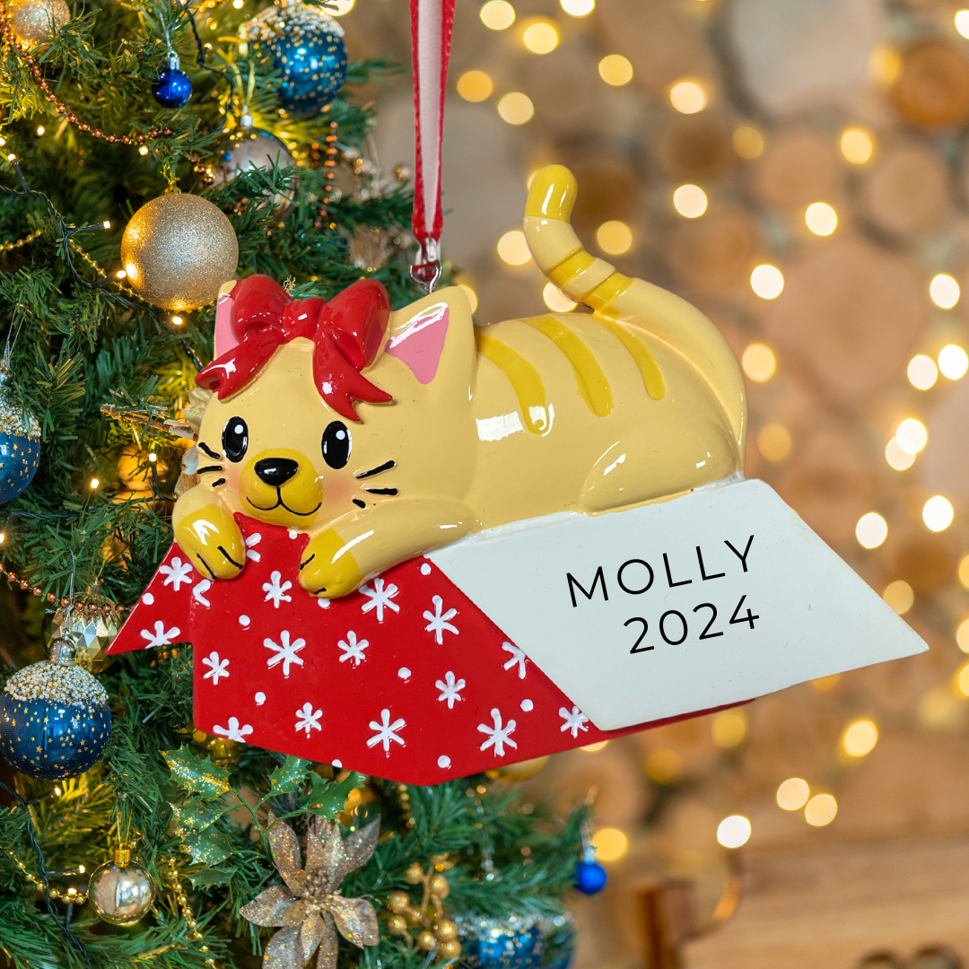 Personalized Cat in Giftbox Ornament - Custom Holiday Gift