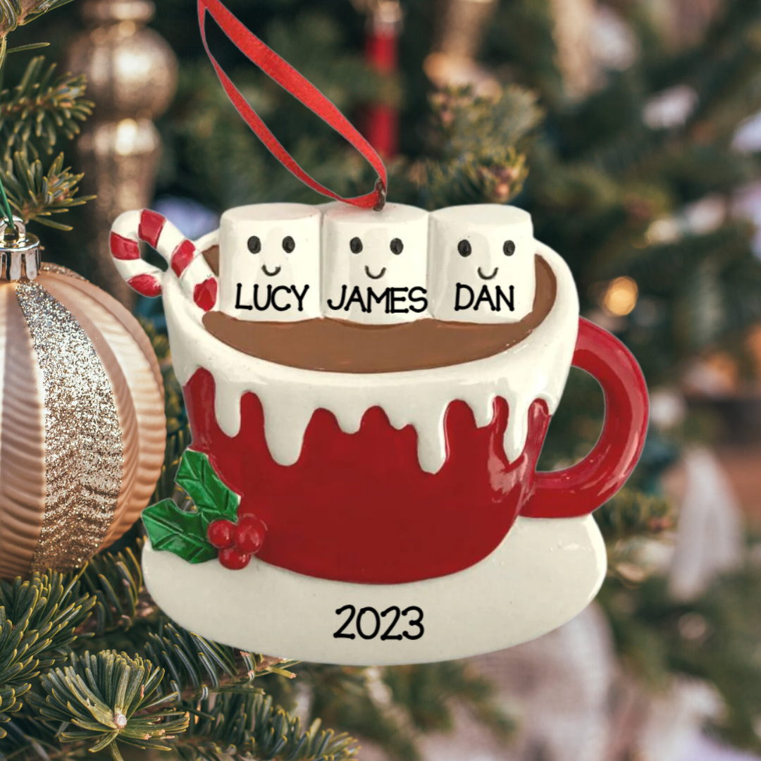 Personalized Coco Family - Family of 3 - Custom Holiday Gift